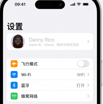 八公山appleID维修服务iPhone设置中Apple ID显示为灰色无法使用 