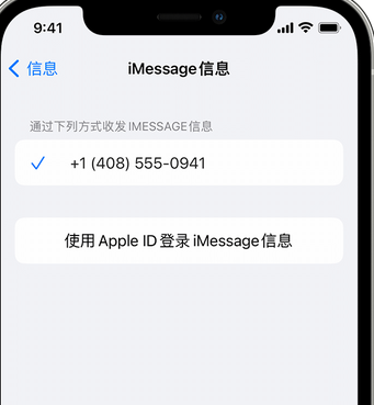 八公山apple维修iPhone上无法正常发送iMessage信息 