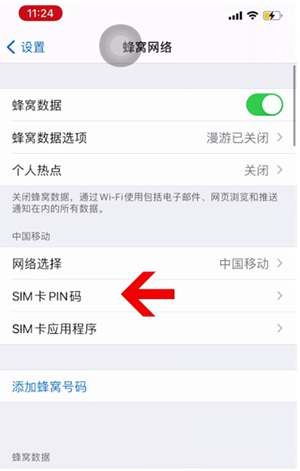 八公山苹果14维修网分享如何给iPhone14的SIM卡设置密码 