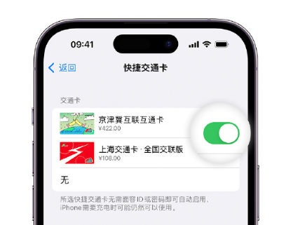 八公山apple维修点分享iPhone上更换Apple Pay快捷交通卡手绘卡面 