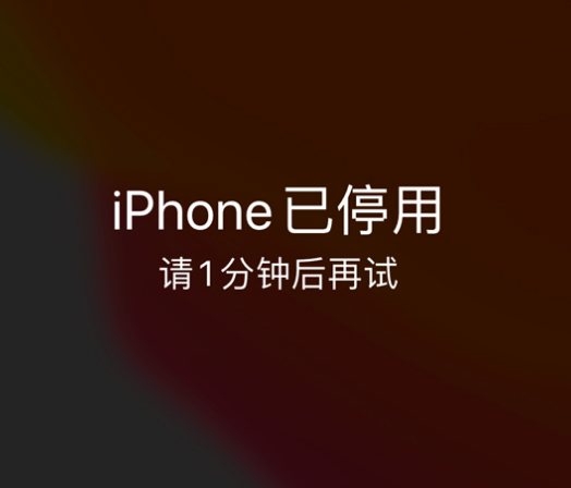 八公山苹果手机维修分享:iPhone 显示“不可用”或“已停用”怎么办？还能保留数据吗？ 