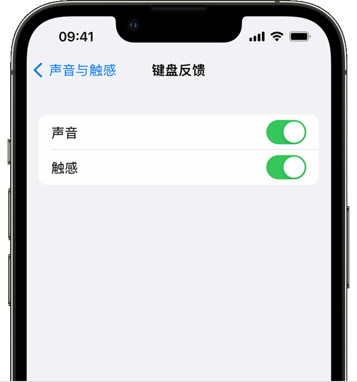 八公山苹果14维修店分享如何在 iPhone 14 机型中使用触感键盘 