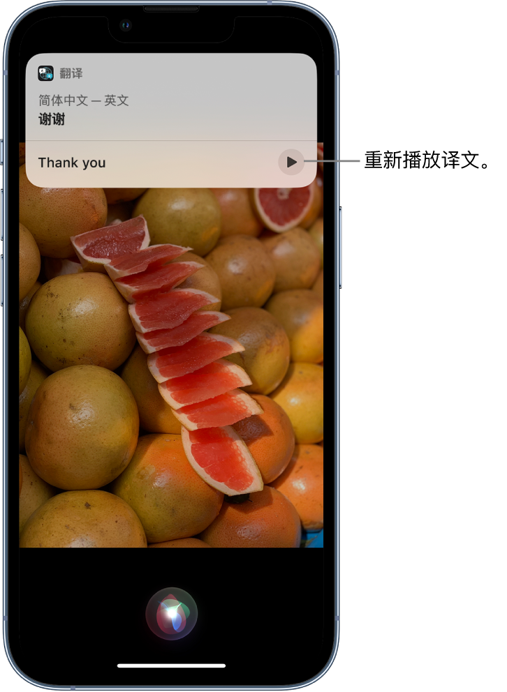 八公山苹果14维修分享 iPhone 14 机型中使用 Siri：了解 Siri 能帮你做什么 