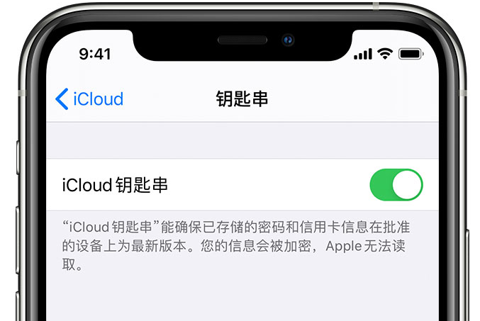 八公山苹果手机维修分享在 iPhone 上开启 iCloud 钥匙串之后会储存哪些信息 