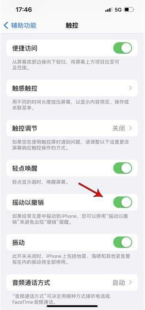 八公山苹果手机维修分享iPhone手机如何设置摇一摇删除文字 