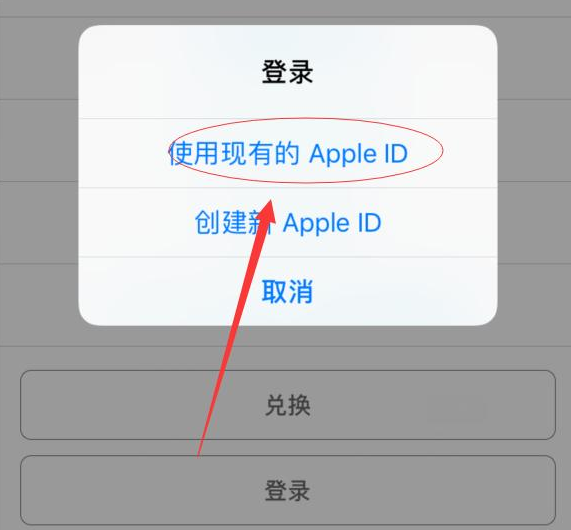 八公山苹果手机维修分享两台iPhone设备可以同时登录一个Apple ID吗 