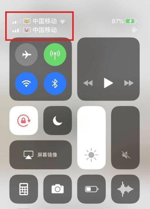 八公山苹果手机维修分享为 iPhone 12 双卡设置标签 