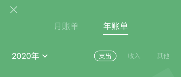 八公山苹果手机维修分享如何在 iPhone 上查看支付宝和微信年支出账单 